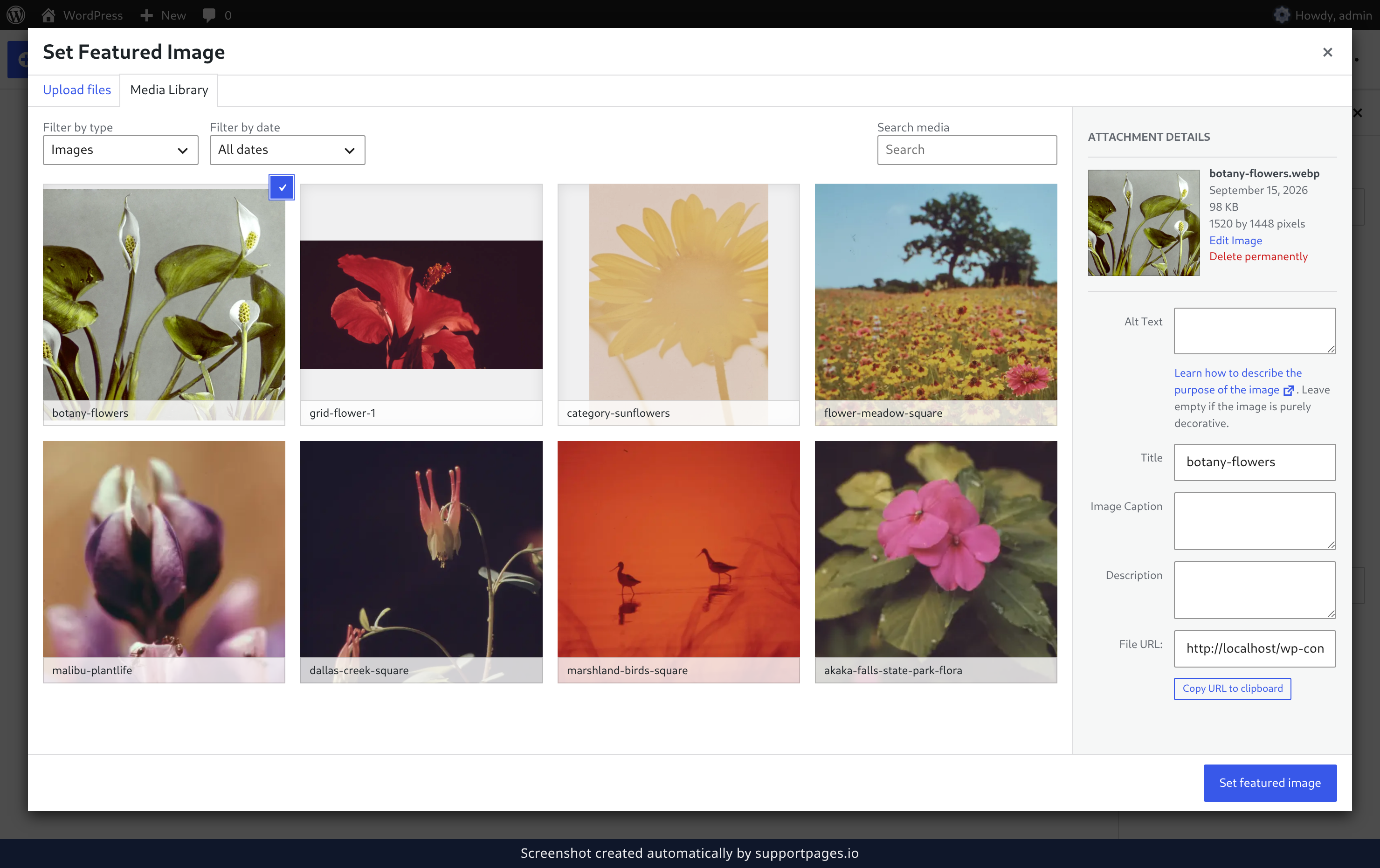 Choose the featured image illustration